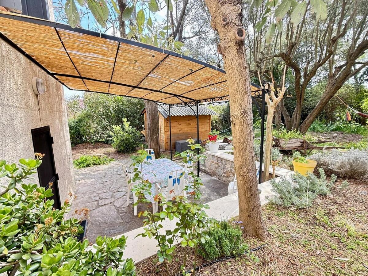 Jardin & Terrasse Ombragee - T2 Cozy Et Paisible Lejlighed La Garde  Eksteriør billede